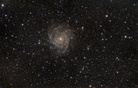 IC342fert.jpg