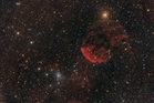 IC443fert_gr.jpg