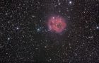 Dateiname=IC5146~0.jpg
Dateigröße=516KB
Abmessungen: 1500x956
hinzugefügt am: 31. August 2008 IC5146~0.jpg