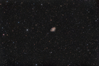 M1.jpg