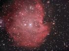 NGC2174.jpg