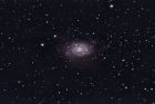 NGC2403.jpg