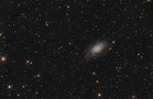 NGC2403fertkl.jpg