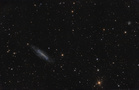NGC4236fert.jpg