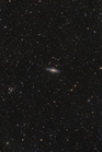 NGC7331gr.jpg