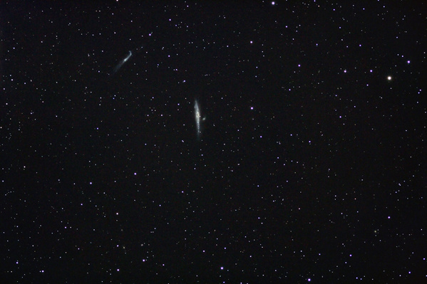 Die Galaxien NGC4631 und NGC4656
Die Wal-Galaxie (NGC4631) am 01.02.2006. Jetzt weiß ich warum die Wal-Galaxie ihren Namen bekommen hat. Schaut ja wirklich wie ein Walfisch aus.
Schlüsselwörter: Whale-Galaxie,