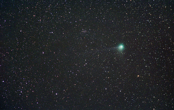 24 Komet Machholz am 12.01.05.
Der Komet fliegt nun auf den offenen Sternhaufen NGC1342 (oberhalb der Bildmitte) zu. 
Schlüsselwörter: Komet, Machholz, Gasschweif, Staubschweif