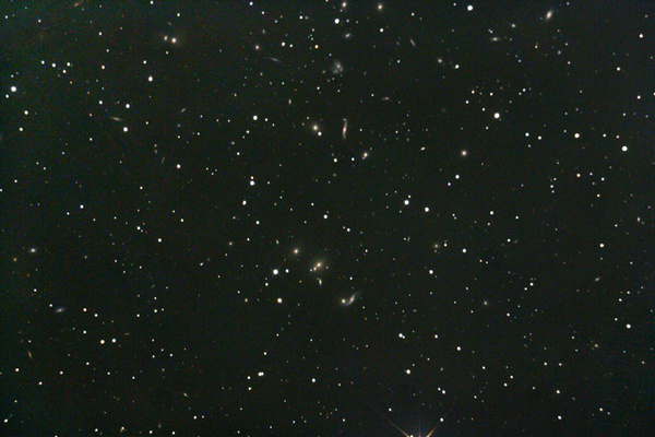 Abell 2151 im Herkules vom 09.06.2007
Der Galaxienhaufen ist im Sucher des Fotoapparates am Fernrohr bei weitem nicht mehr zu sehen. Als einzige Orientierungshilfe kann ein heller Stern (unterer Bildrand) herangezogen werden. Der Haufen bietet mit seiner beträchtlichen Anzahl an Edge-on-Galaxien einen faszinierenden Anblick.
