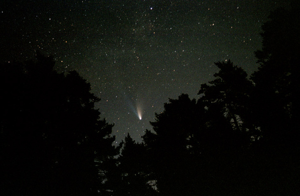 Komet Hale-Bopp
Aufgang zwischen Bäumen am 11.03.1997. Der Komet tritt erneut seine Reise über das nächtliche Firmament an.
Schlüsselwörter: Komet, Hale-Bopp, Gasschweif