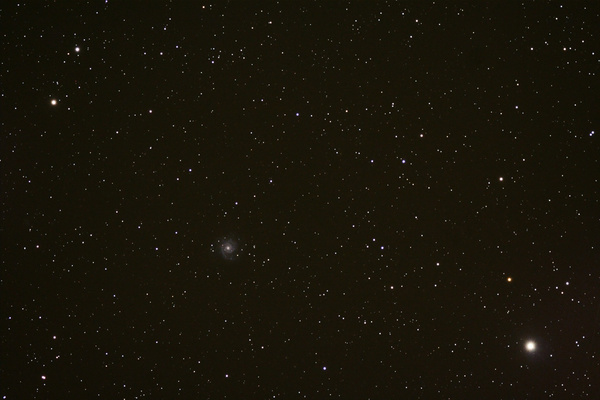 Die Galaxie M74, (NGC).
