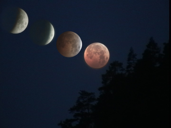 06 Totale Mondfinsternis am 28.10.2004
Verschiedene Phasen der Mondfinsternis wurden mittels Photoshop zu einem Bild kombiniert.
