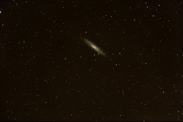 Die Silberdollar-Galaxie NGC253.
