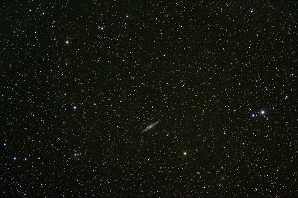 Die Galaxie NGC891.
