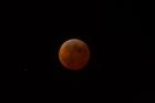 Dateiname=Mondfinsternis_total~0.jpg
Dateigröße=258KB
Abmessungen: 1000x667
hinzugefügt am: 08. März 2007 Mondfinsternis_total~0.jpg