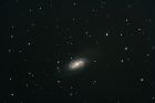 NGC2903fertig_filtered.jpg