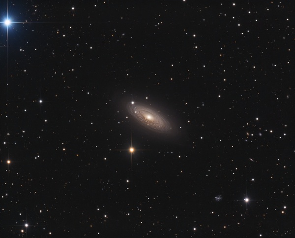 NGC 2841
110x10min L  -  je 100min RGB
