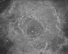 1921063_735377289820117_1704401849_o-2.jpg
